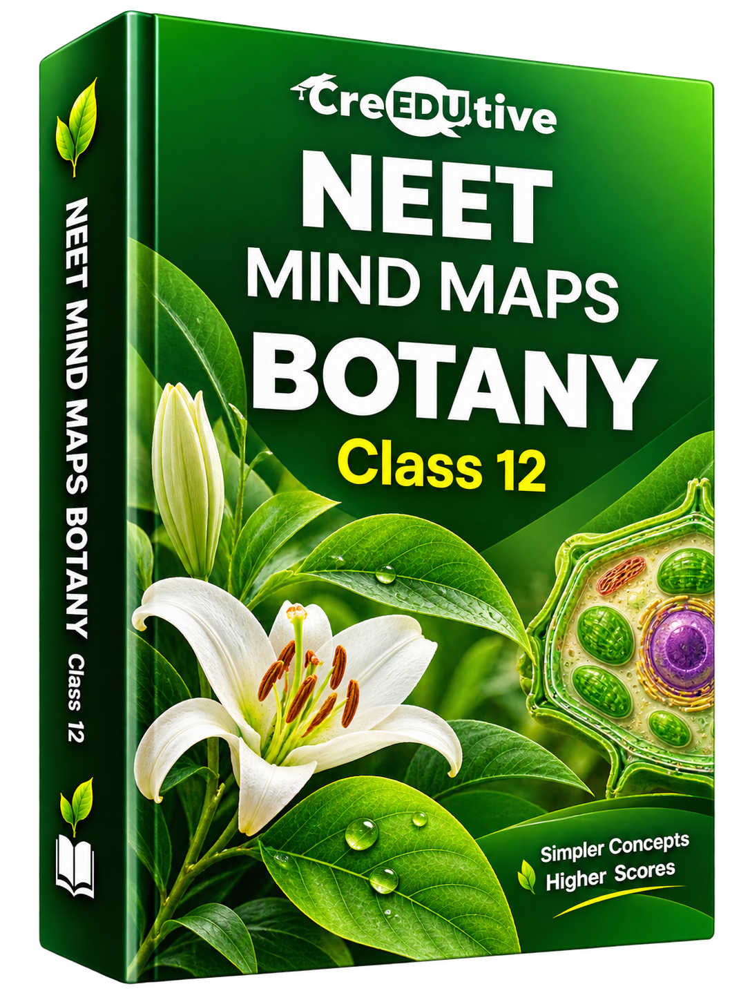 NEET Mind Maps Botany - Class 12